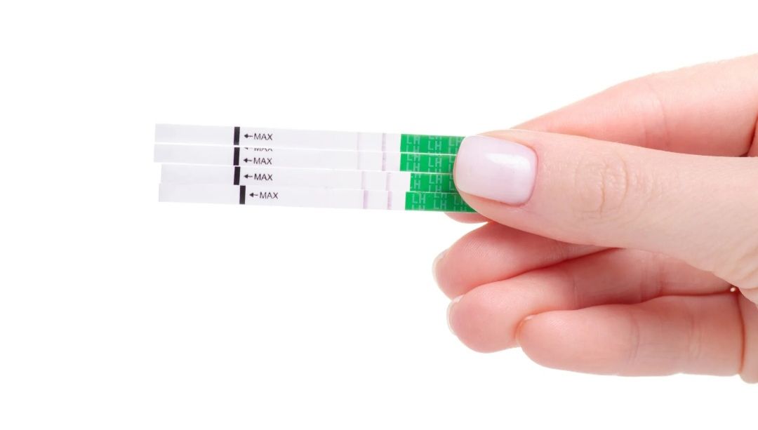 TEST D'OVULATION _1