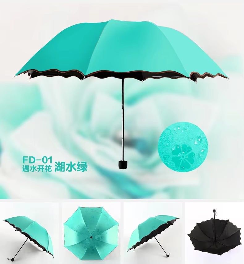 Magic umbrella _2