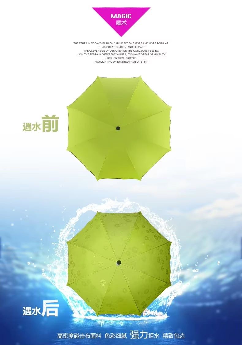 Magic umbrella _1