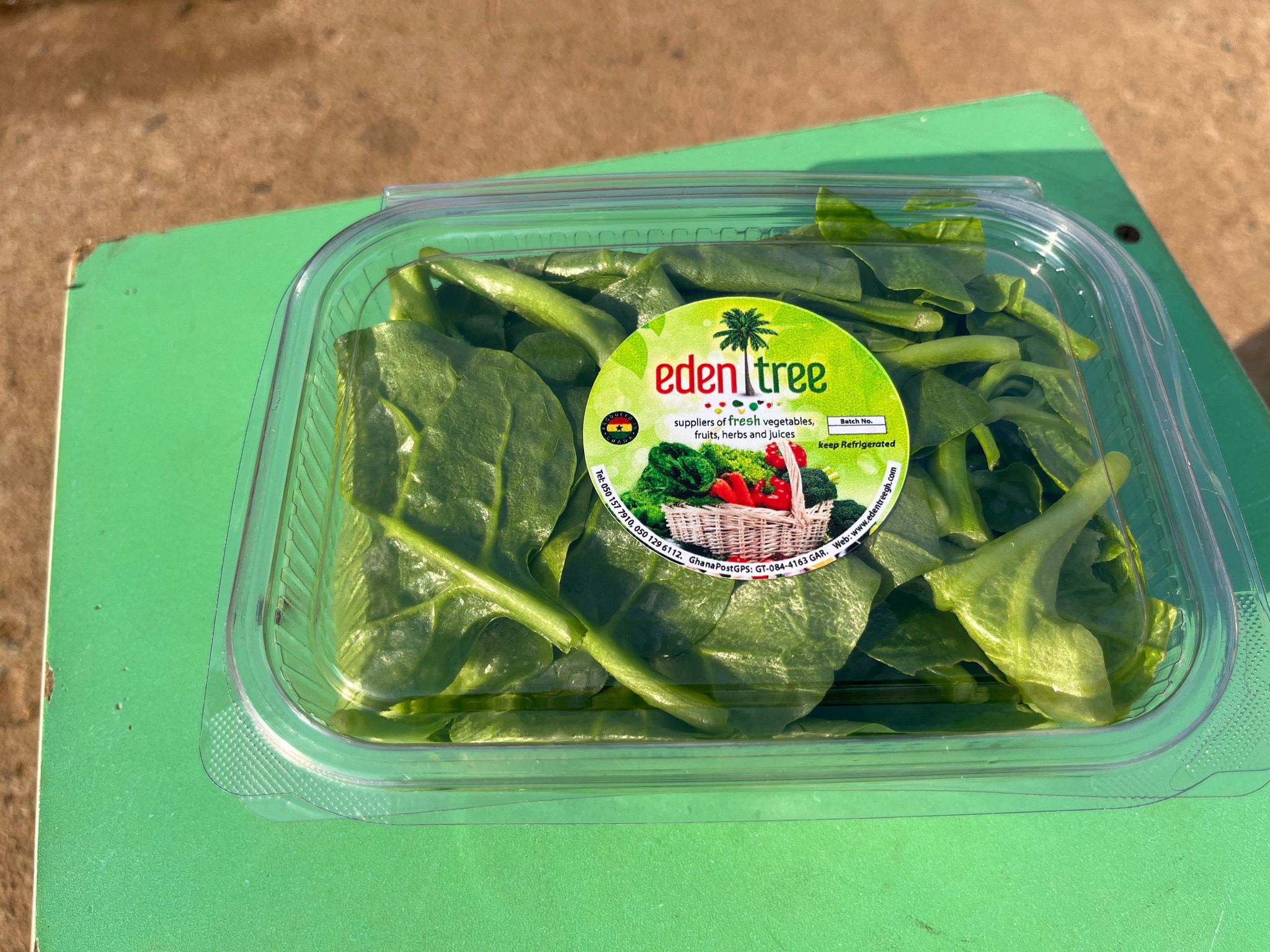 Spinach_0