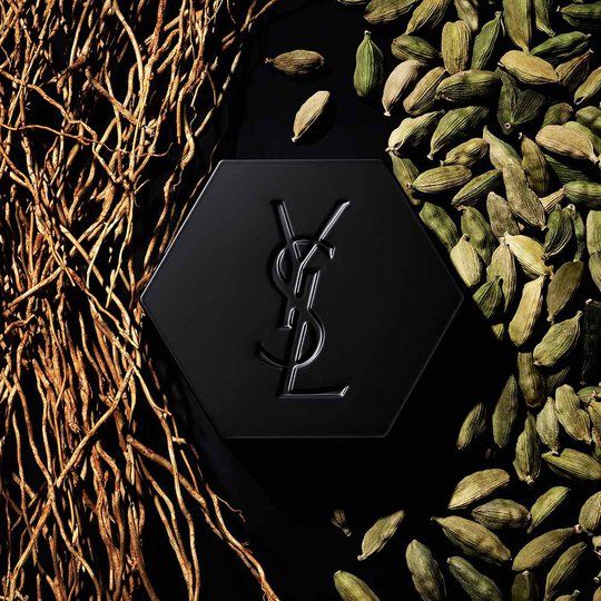 LA NUIT DE L'HOMME YVES SAINT LAURENT_2