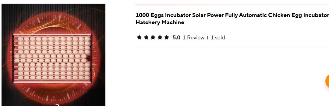 Eggs Incubator / Hatcher_2