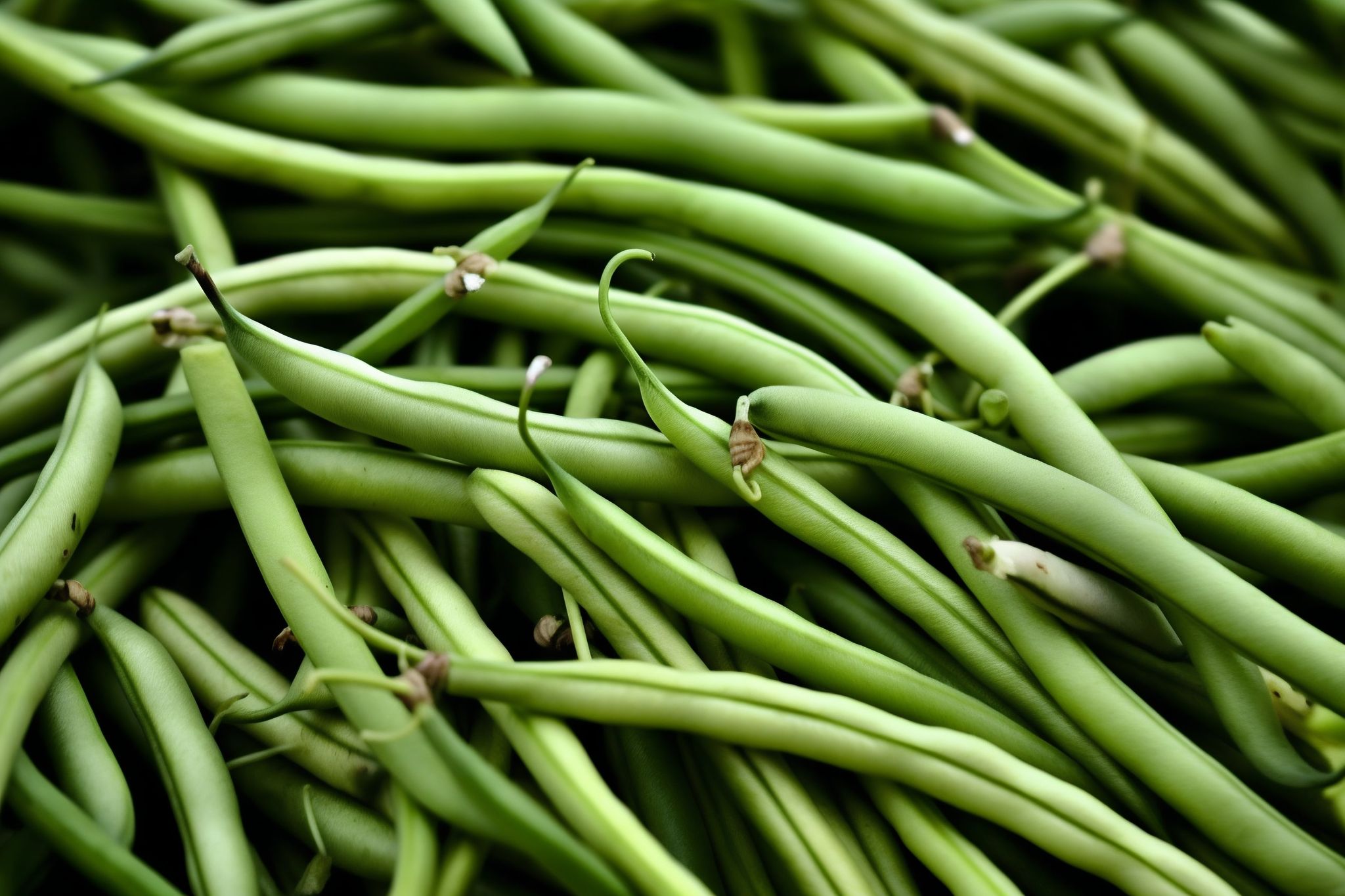 Green Beans Punnet_0