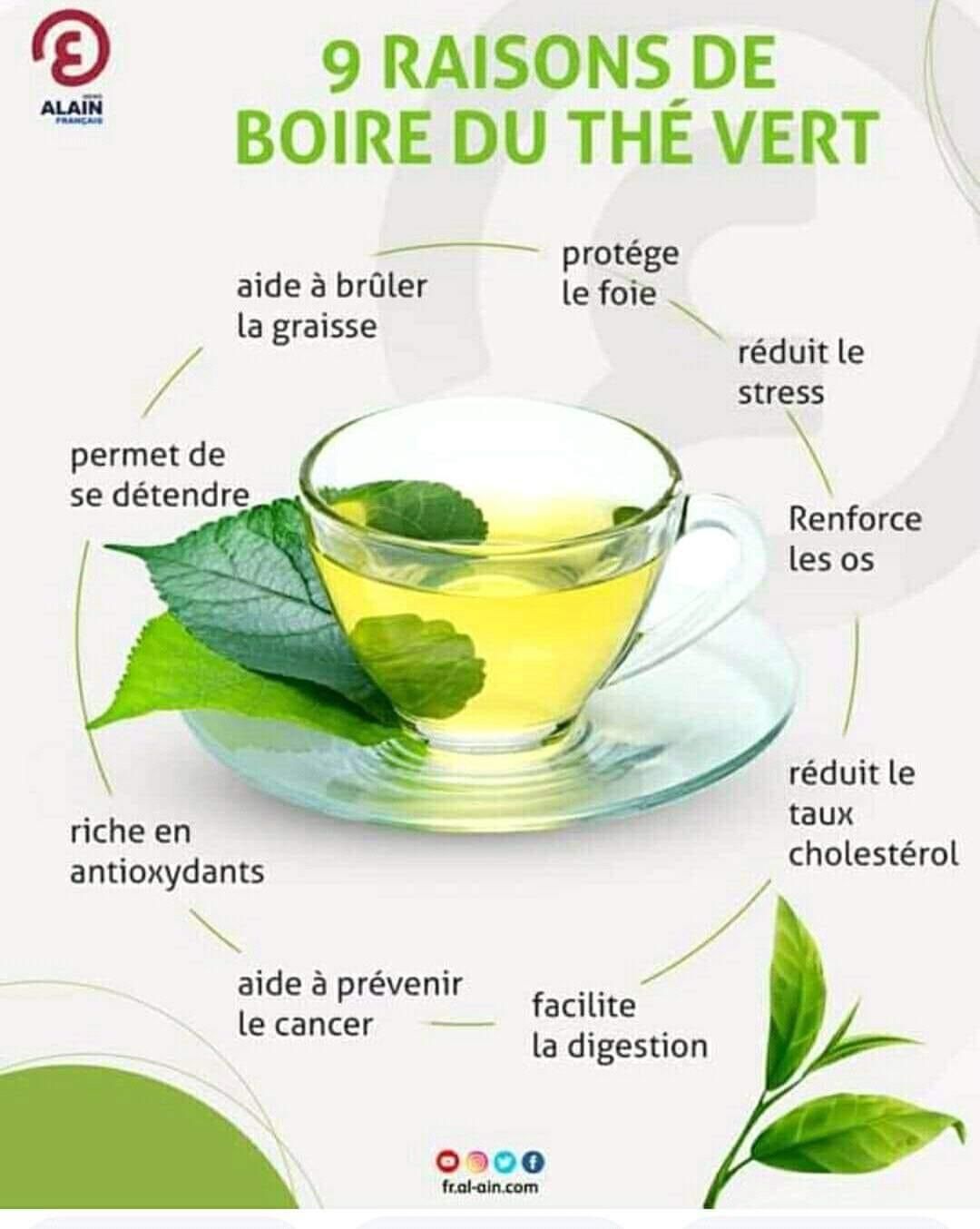 Thé Vert constipation et mauvaise digestion (Régularise tout problème lié à la constipation, 15 sachets)_12