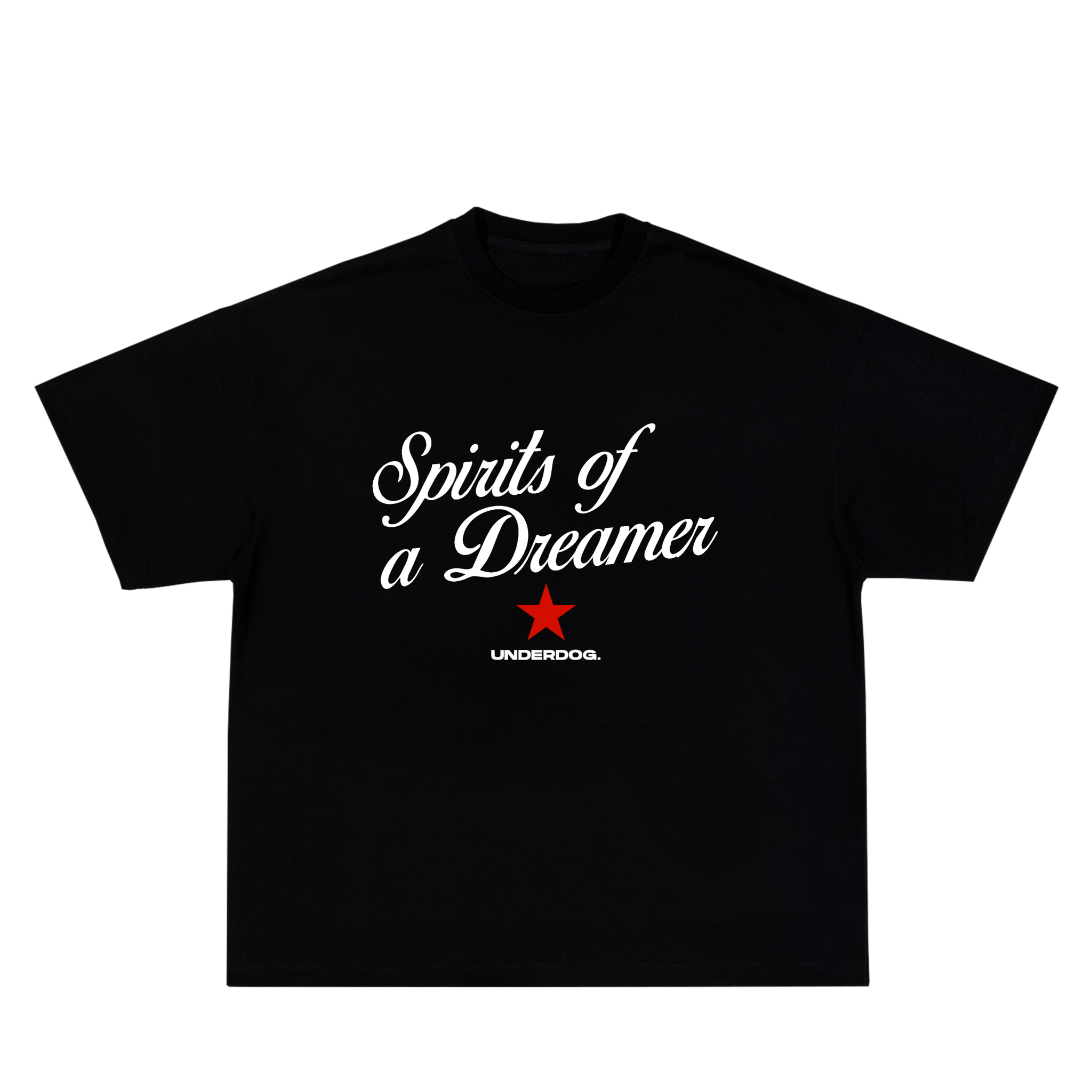 Dreamer oversized tee _0