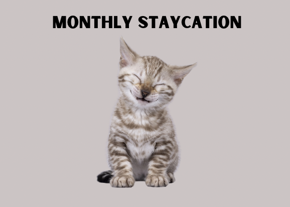 Fur Baby Staycation (Monthly)_0