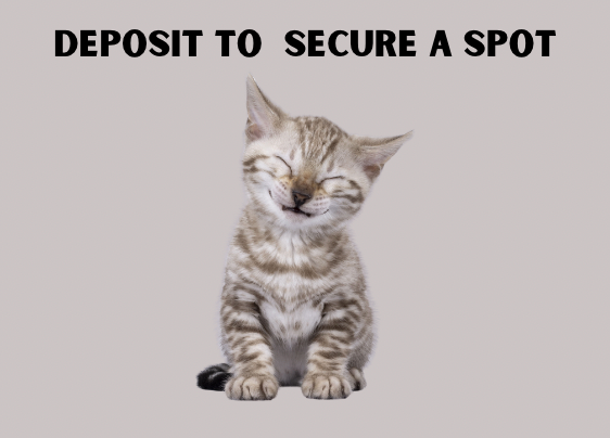 Deposit To Secure A Spot_0