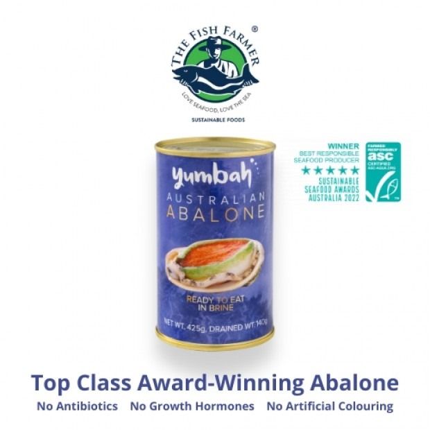 Yumbah Brine Abalone 5 pcs/can drain weight 140g _0