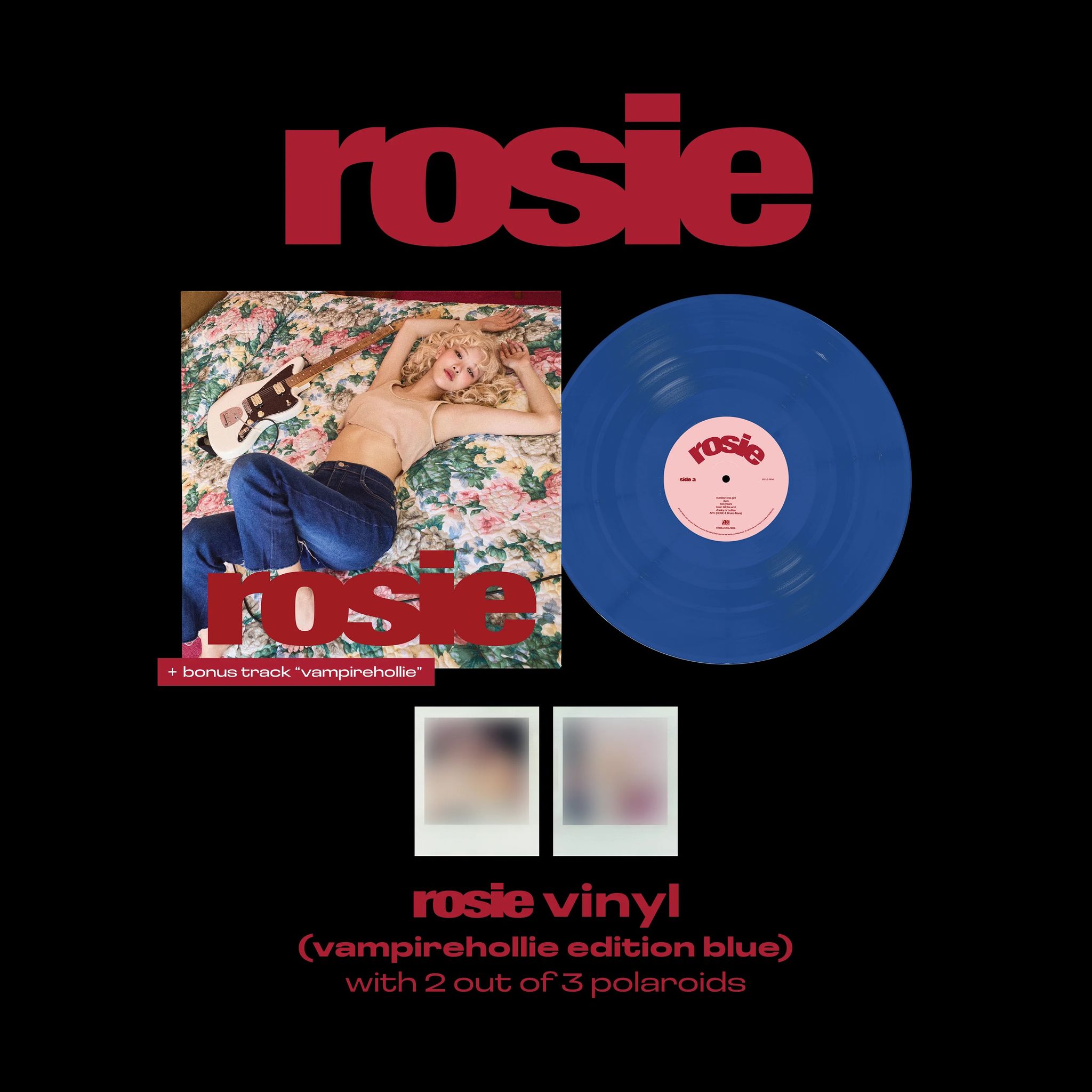 Rose Rosie Vinyl (vampirehollie/band cover) ❗️ETA Jan 2025❗️_1