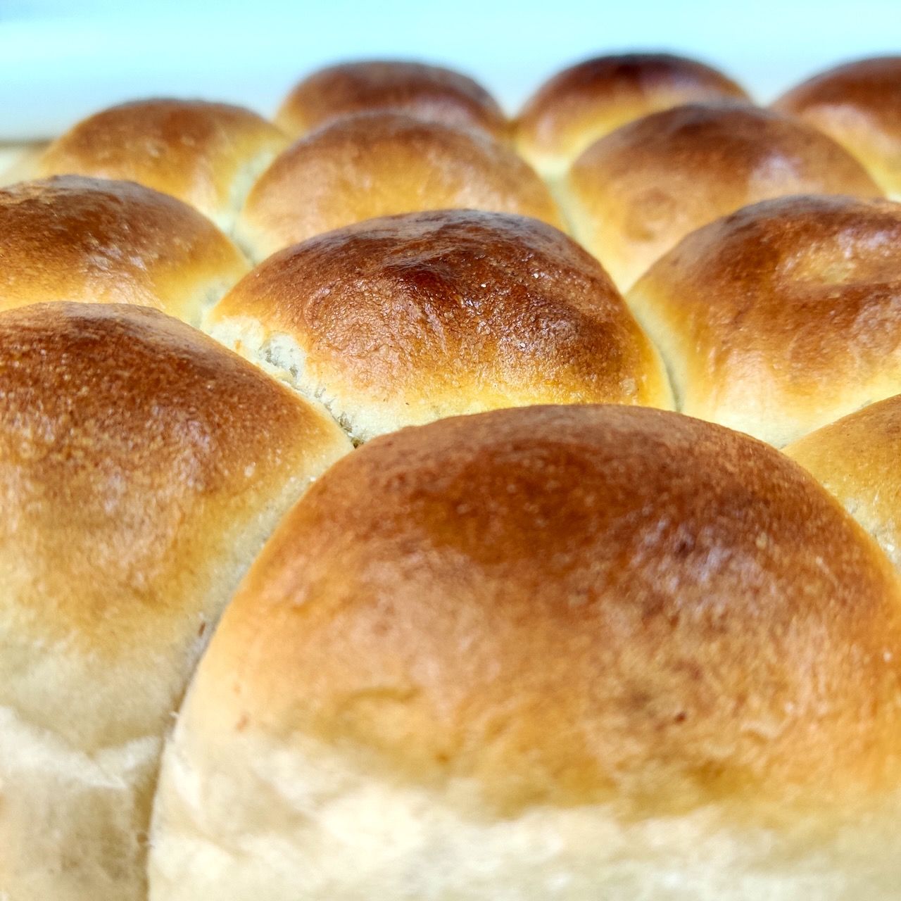 Pain de mie Dinner Rolls (800g)_1