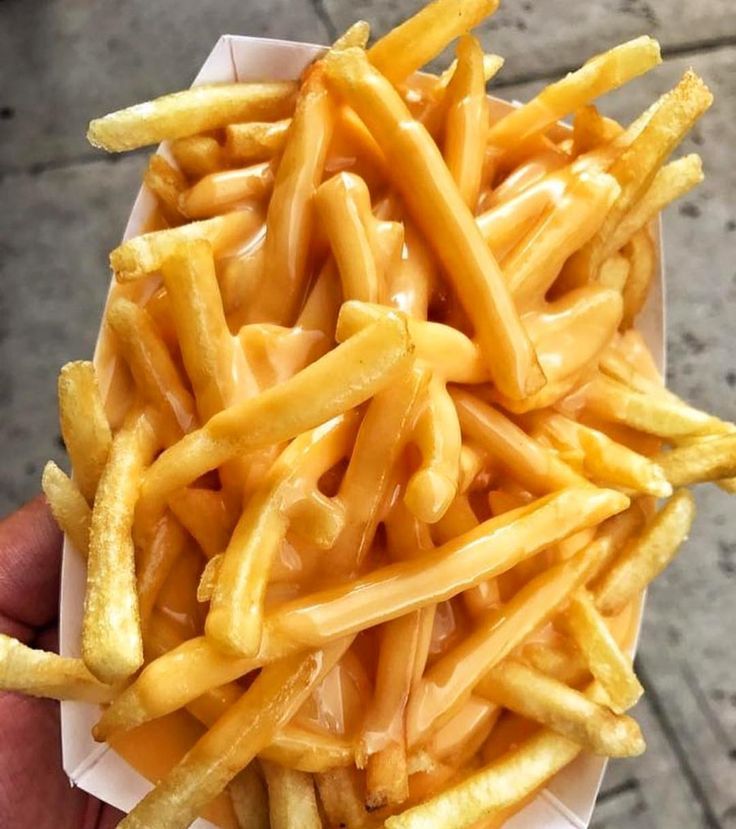 cheesy fries_0