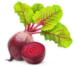 Beetroot_0