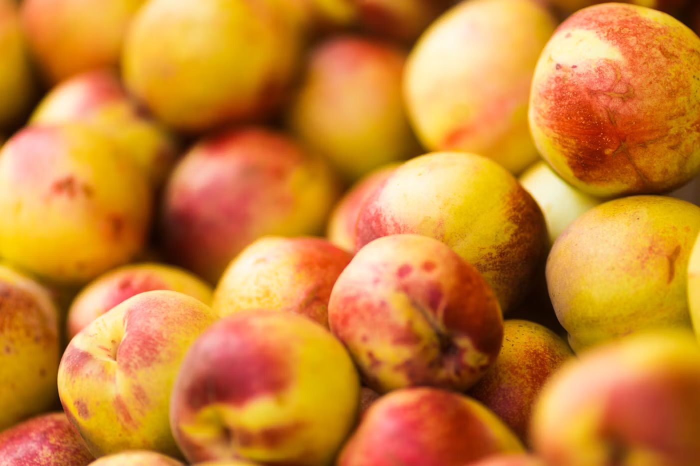 Nectarines punnet _0