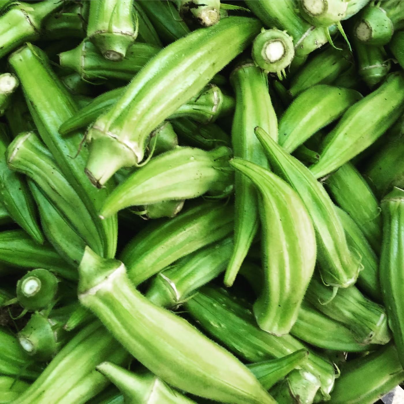 Okra packet _0