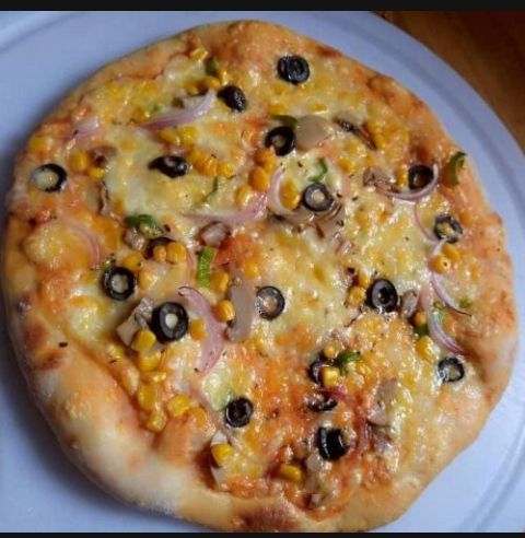 Vegetarian Pizza _0