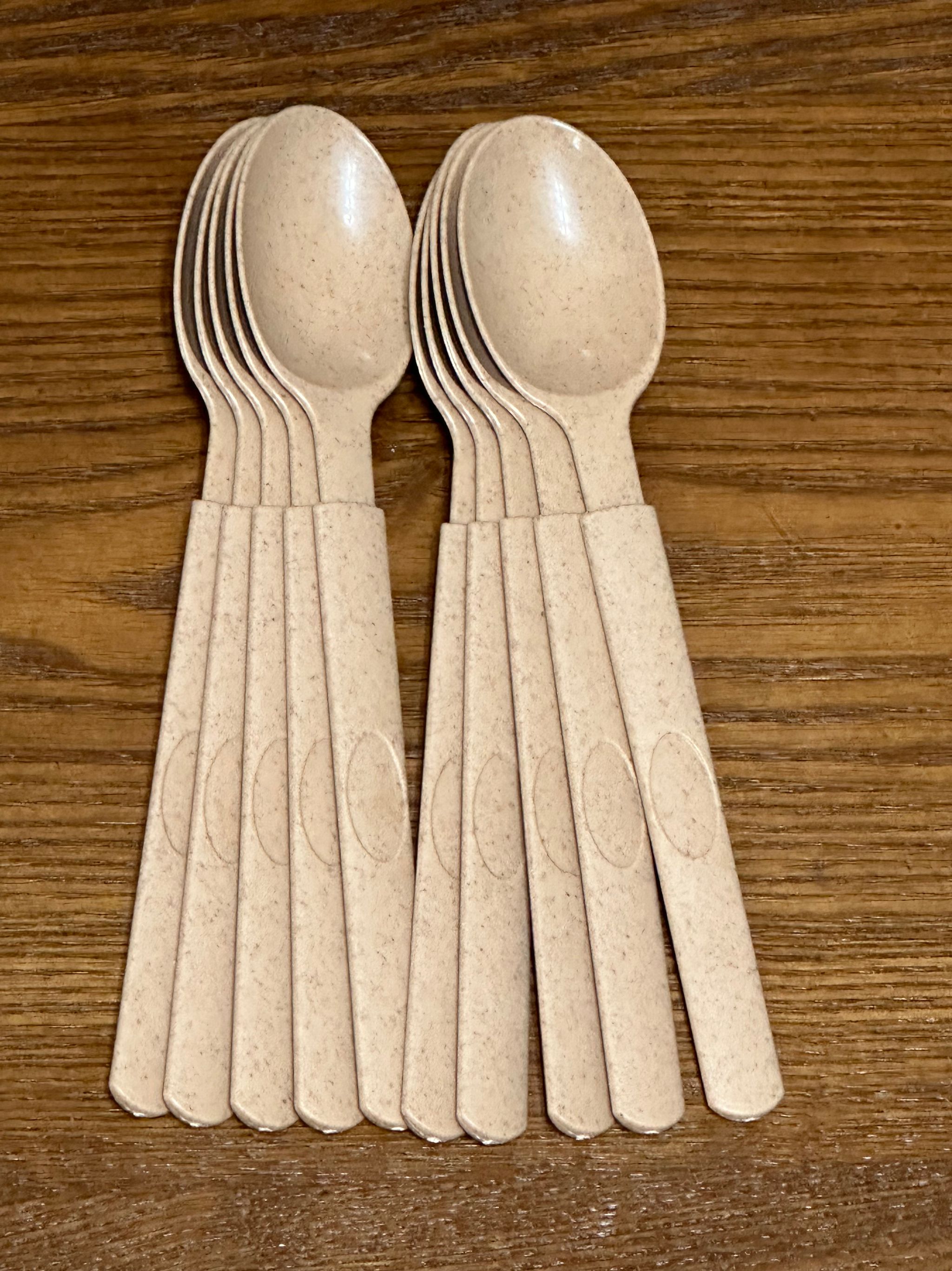 Cutlery  - 10 PCS Disposable spoon (Biodegradable - wheat straw)_1