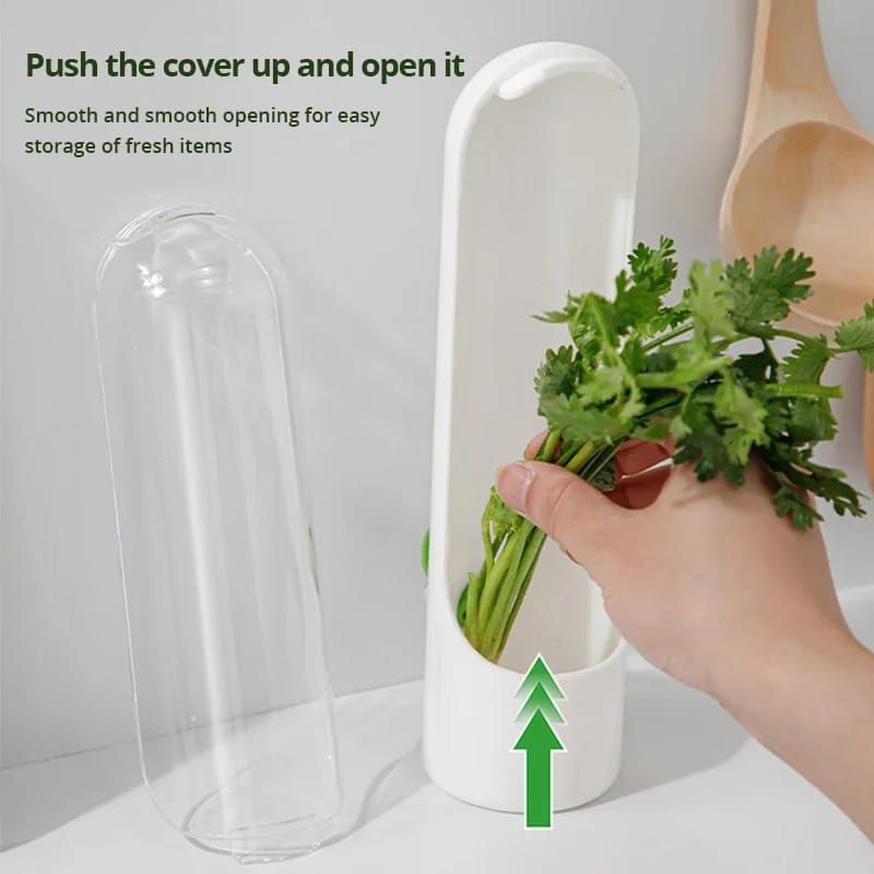 Herb/Dhania fridge storage container _1