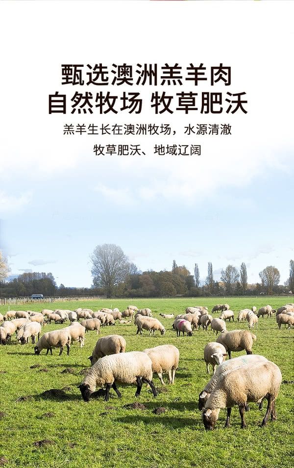 澳洲羔羊肉卷 1kg 冷链 预定（预计1月初到）_2