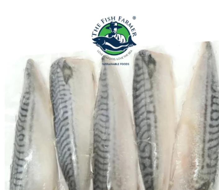 Frozen Norwegian Mackerel Fillet Saba Fish-5pcs 700g+-_1