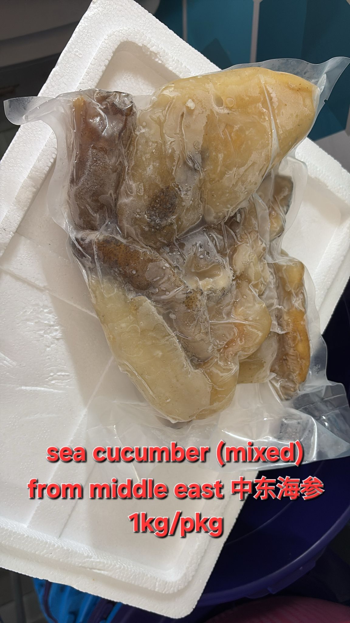 Sea Cucumber (mixed) 秃参_1