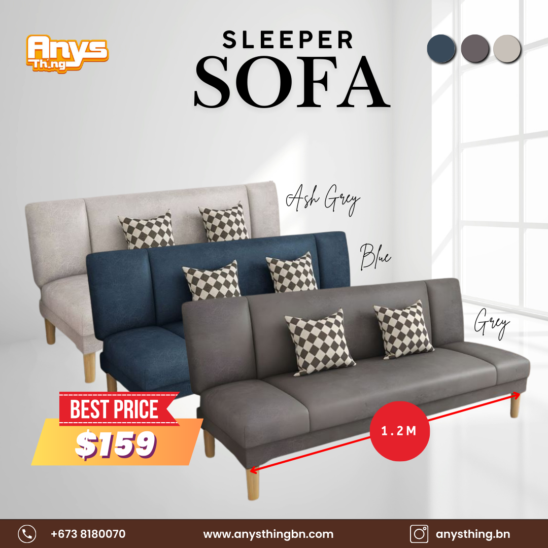 Sleeper Sofa_0