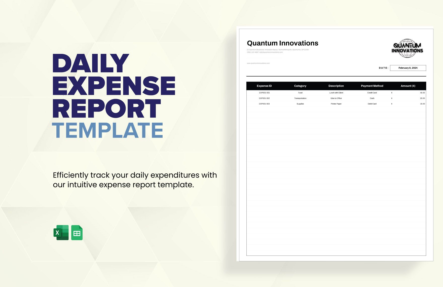 Daily Expense Report_0