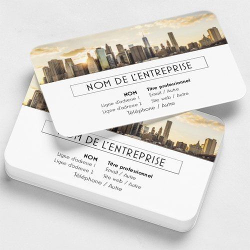 CARTE PROFESSIONNEL _1