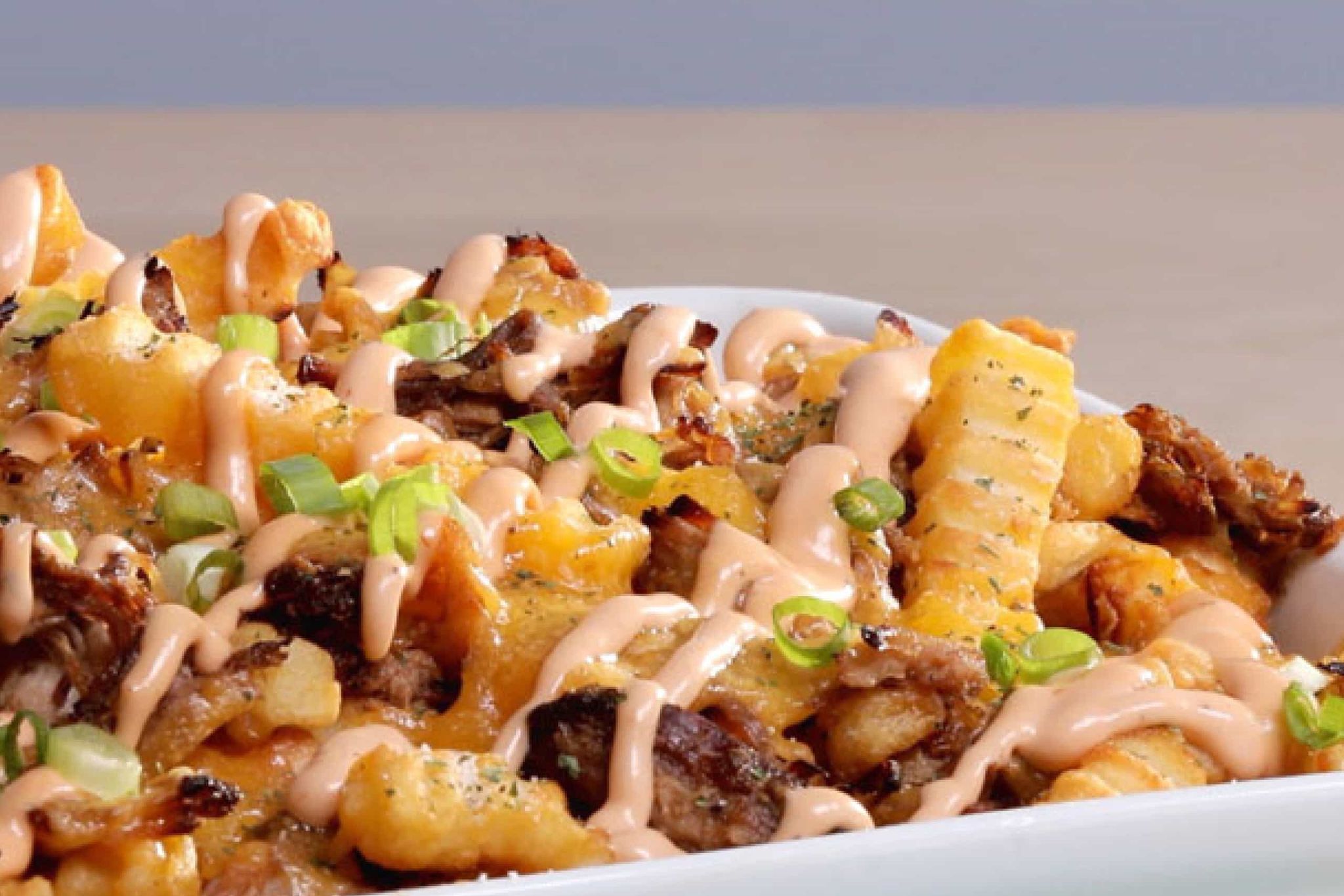 Pork Loaded Fries_0