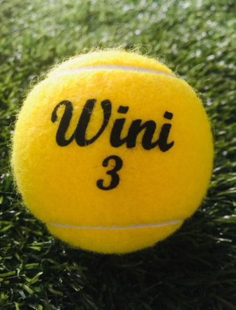 Wini 3 Cricket Ball (1 Tin 3 Balls)_1