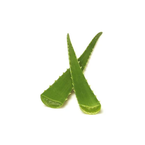 Aloe Vera Fresh _0