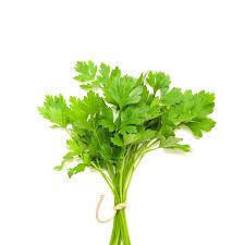 Fresh Coriander _0