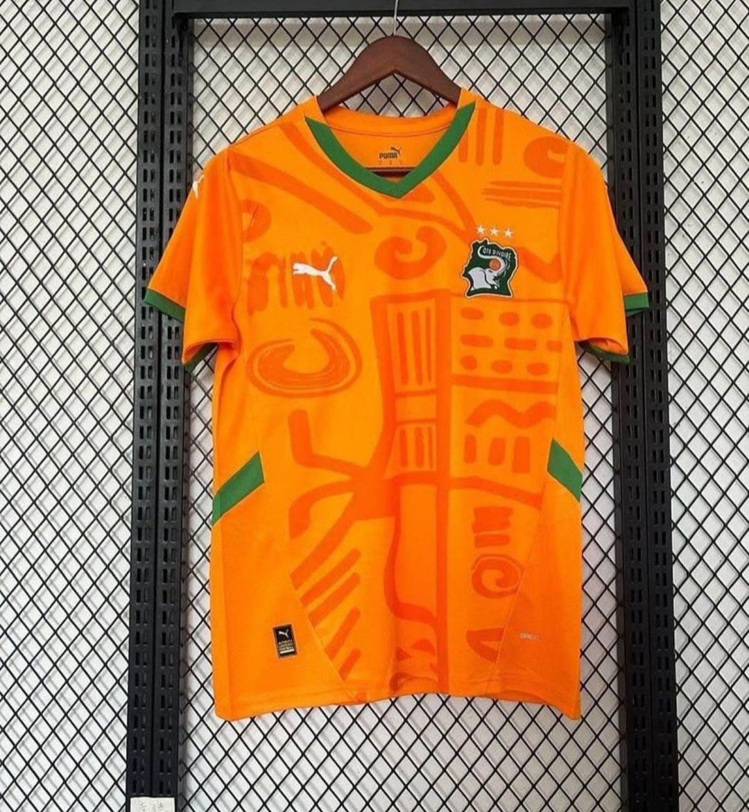 Maillot Côte d'Ivoire supporter, champion d'Afrique, homme et femme _0