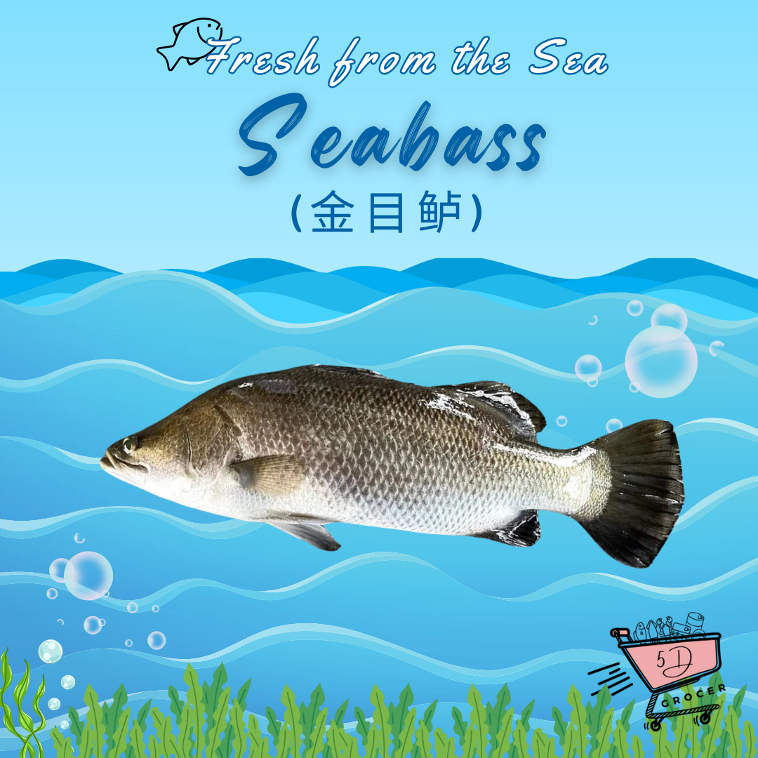 Fresh Seabass_0