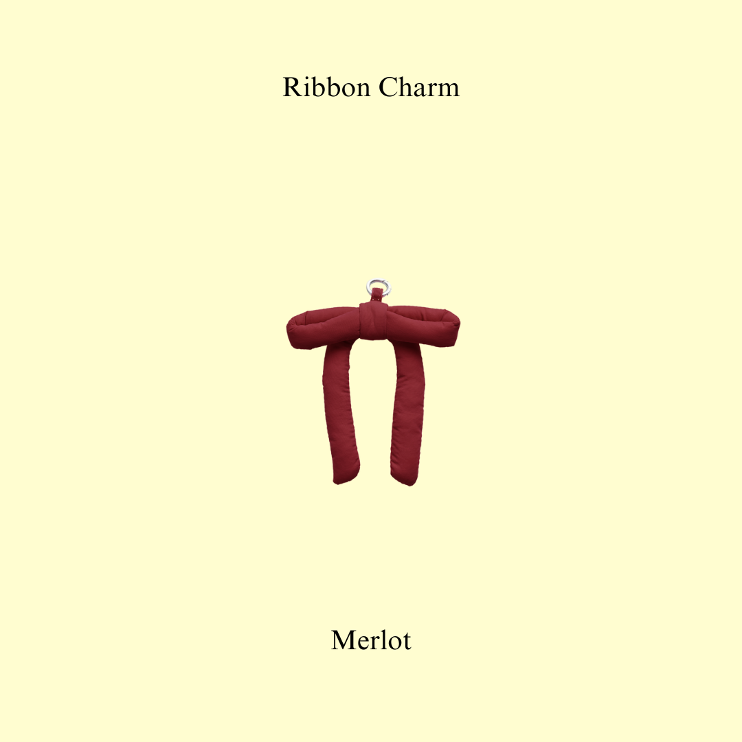 Ribbon Charm (Pre-Order)_4