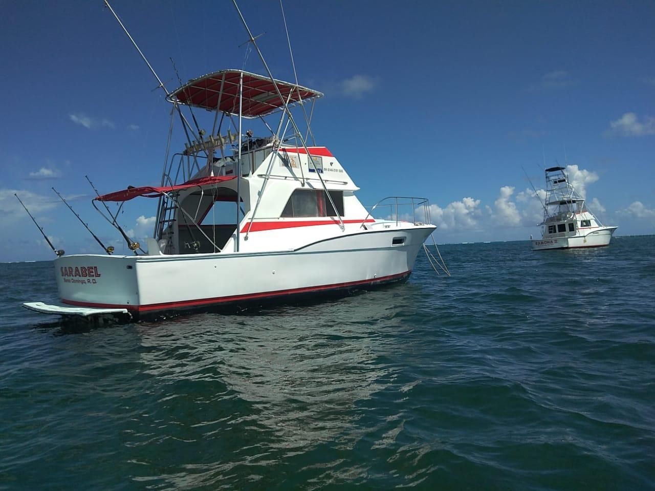 Private Deep Sea Fishing Charter 4h_3