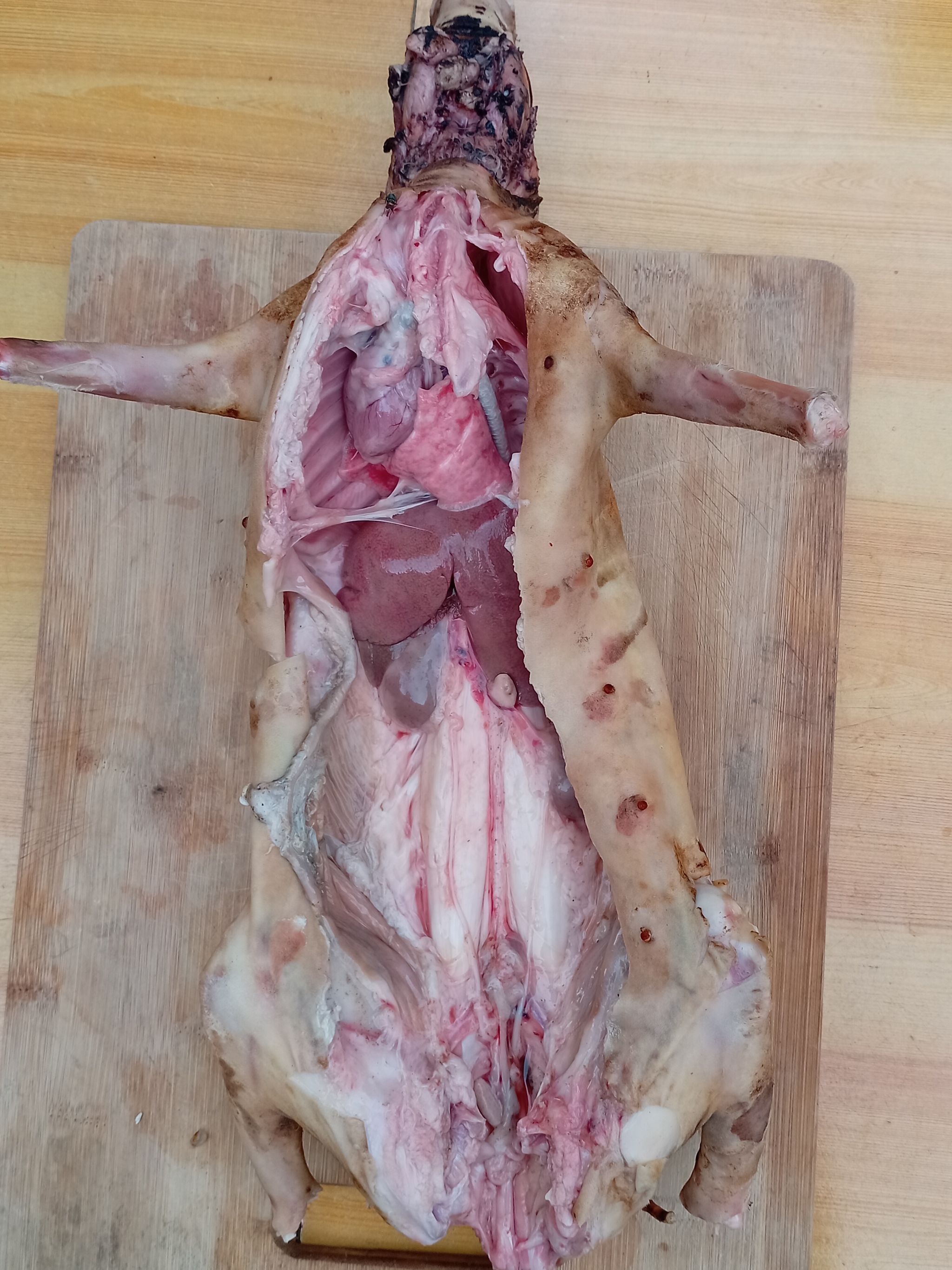 Lapin braisé (1kg - 1,1kg)_1