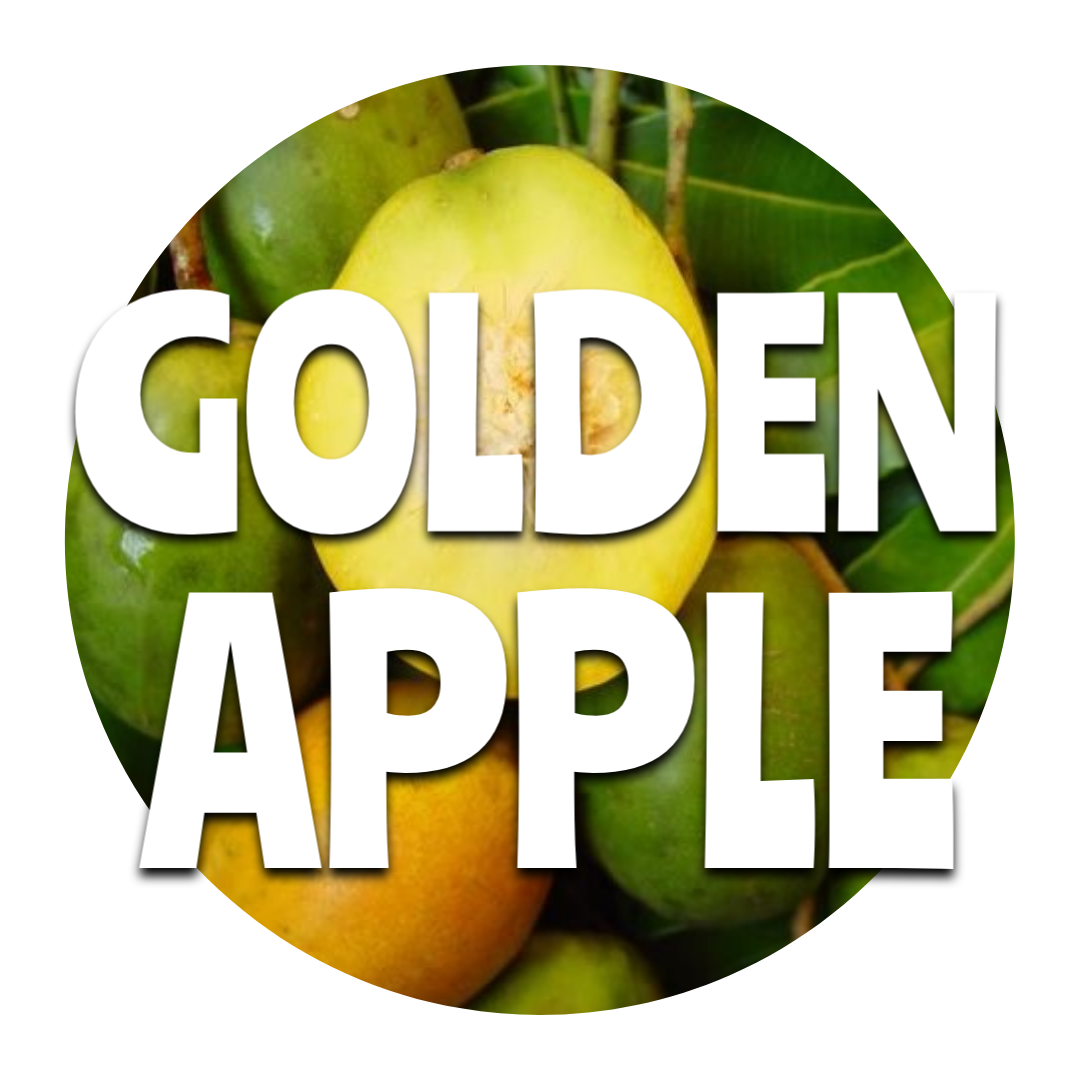 Golden Apple_0