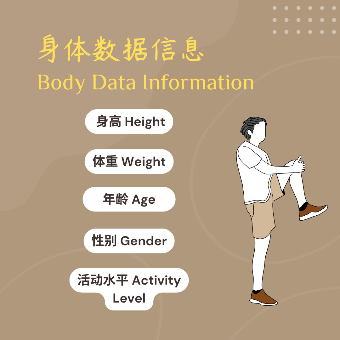 身体数据信息 Body Data Information_0