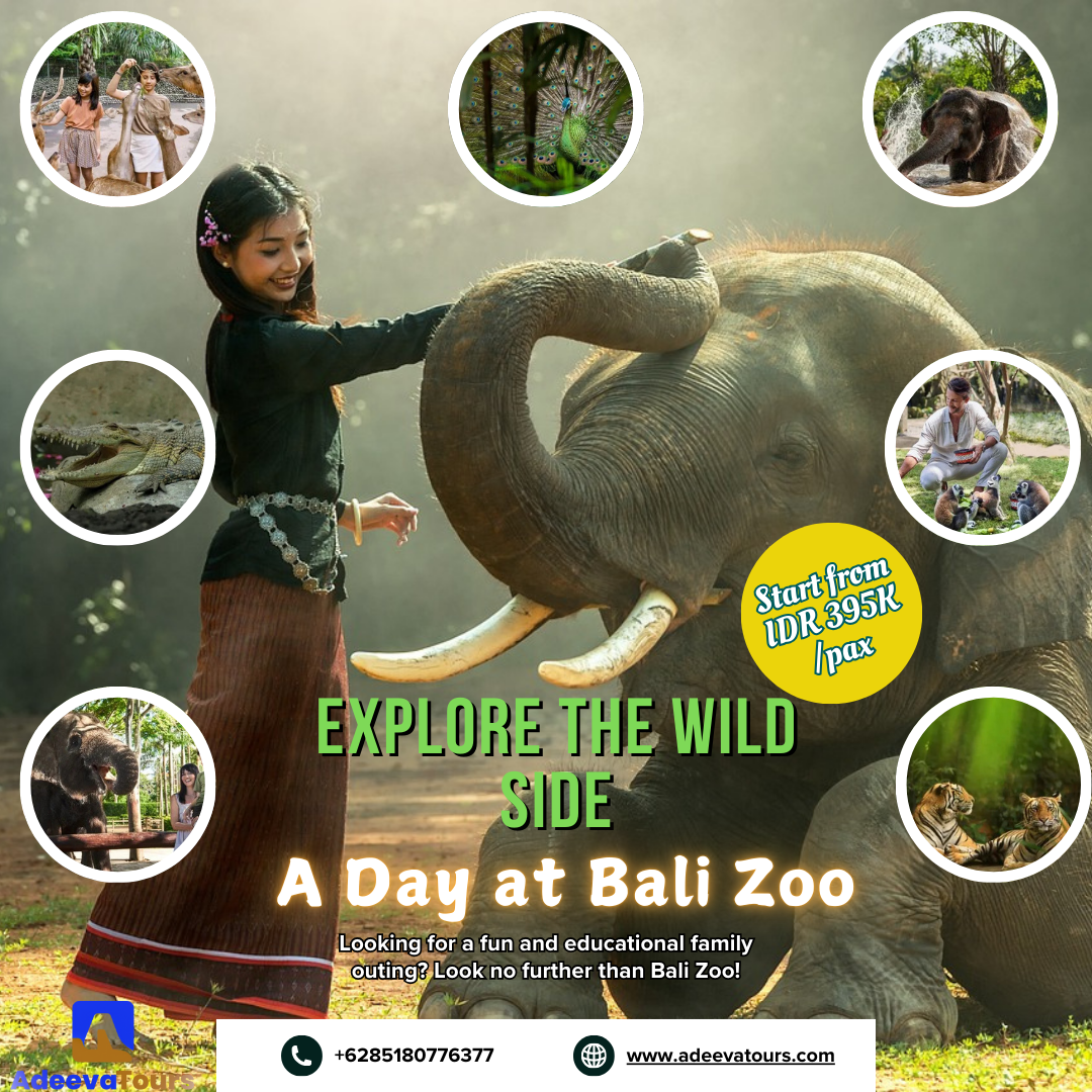 Explore the Wild Side: A Day at Bali Zoo_0