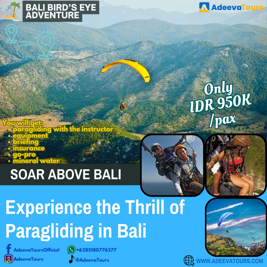 Paragliding in Bali: A Bird’s-Eye View_0