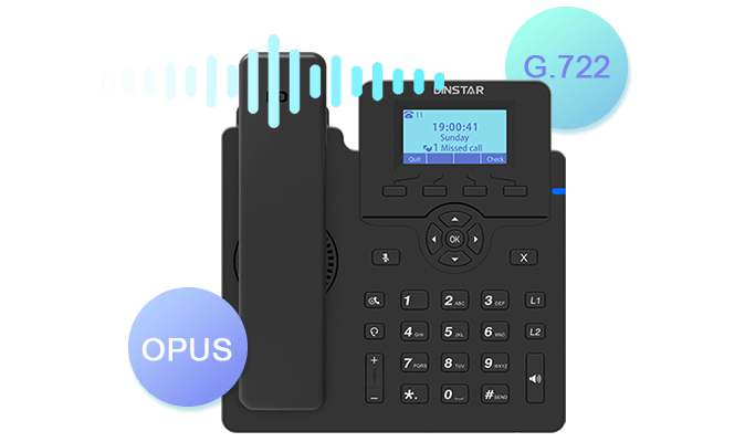 DINSTAR C60UP Entry Level IP Phone with POE & With Adapter_0