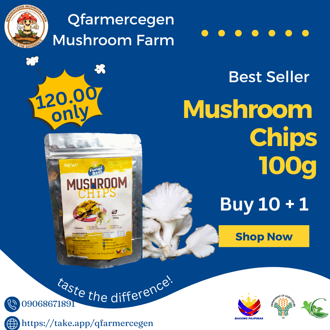 Mushroom Chips 100g_0