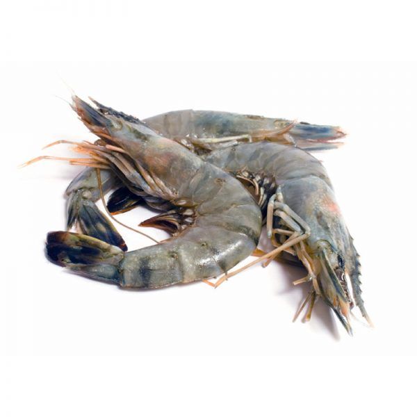 Issa Large (Large Prawns) _0