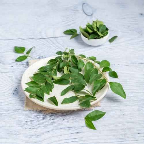 Curry Leaves (Kariveppilai) 50 g_0