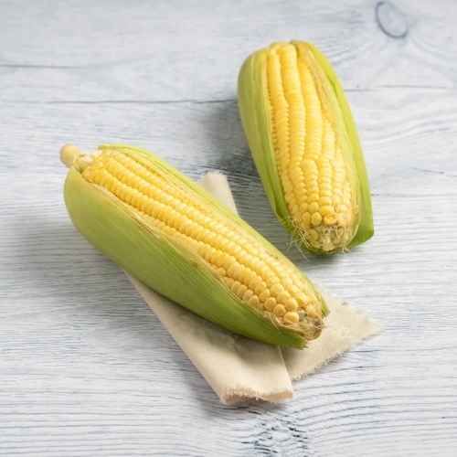 Sweet Corn (Cholam) 2 pcs (Approx. 700g - 800g)_0