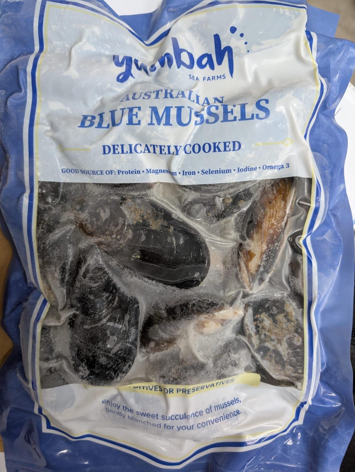 Australian Yumbah Blue Mussels (1kg)_1