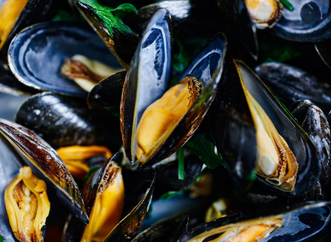 Australian Yumbah Blue Mussels (1kg)_0