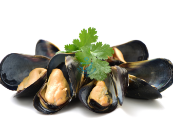 Whole Shell Black Mussel (454g) _0