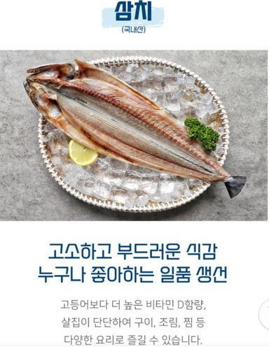 반건조 삼치_2