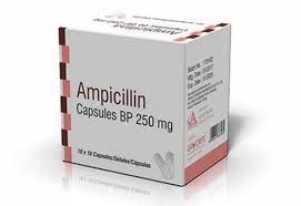 Ampiciline 250mg 10x10 Cap_0